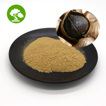 High Quality Polyphenols Black Garlic Extract